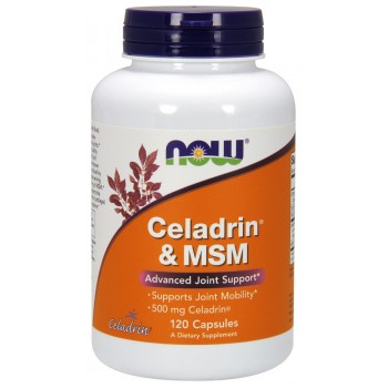 Celadrin & MSM, 500 mg - 120 Kapseln