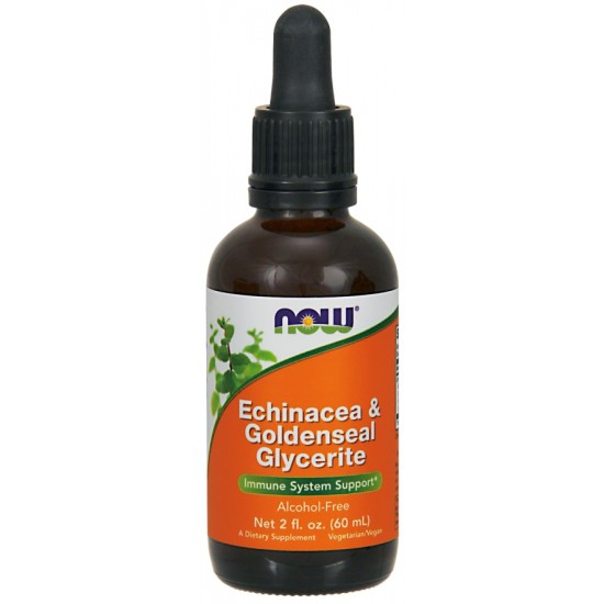 Echinacea & Goldenseal Glycerite - 60 ml.
