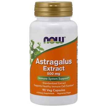 Astragalus Extract, 500mg - 90 vcaps