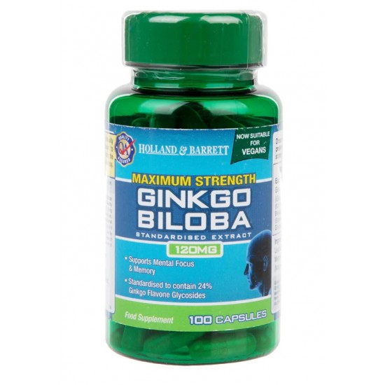 Maximum Strength Ginkgo Biloba, 120mg - 100 caps