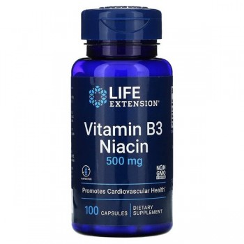 Vitamin B3 Niacin, 500mg - 100 caps
