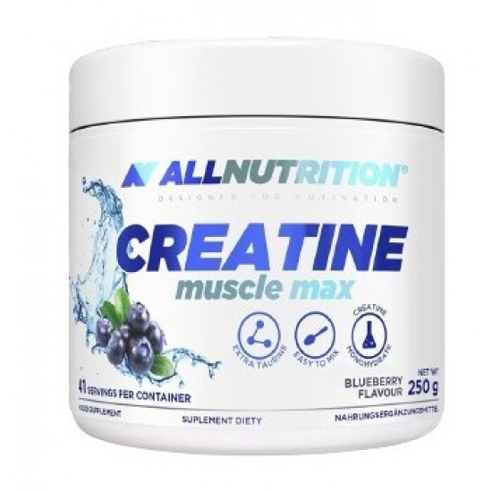 Creatine Muscle Max, Blueberry - 250g