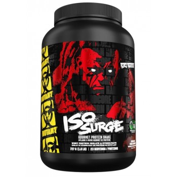 Iso Surge, šokoladinis pyragėlis su fudge – 727 g